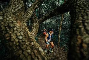 BIB: 
                            <button type="button" onclick="openModal(25670306)" class="btn btn-primary btn-sm float-right btn-popup" data-toggle="modal" data-target=".modal-high-quality">
                        <i class="fas fa-shopping-cart"></i> Add to Cart
                    </button>
                                            <button type="button" onclick="isThisMe(25670306, true)" class="btn btn-success btn-sm float-right btn-popup btn-isme hidden" data-toggle="tooltip" data-placement="bottom" title="นี่คือรูปของคุณใช่ไหม คลิกที่นี่เพื่อเอาเข้าอัลบั้ม">
                        <i class="fas fa-plus"></i> Add to album
                    </button>
                    <button type="button" onclick="isThisMe(25670306, false)" class="btn btn-warning btn-sm float-right btn-popup btn-isnotme hidden">
                        <i class="fas fa-ban"></i> Remove from album
                    </button>